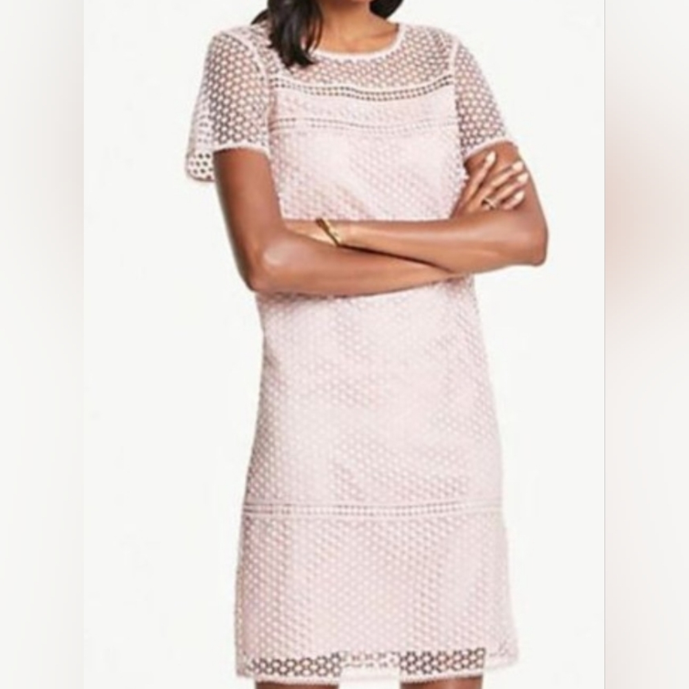 NWT Ann Taylor Shift Dress Mauve Rose Pink Lace Overlay Short Sleeve Lined Sz 14